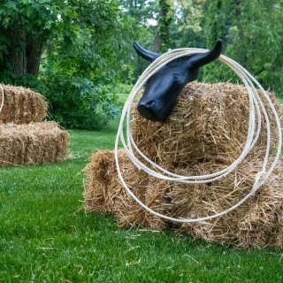 Instagram post from tararrel_events. This post is in position 4.